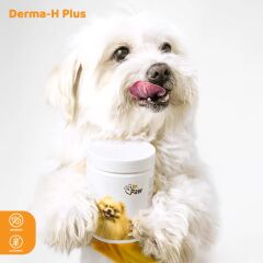 Derma H Plus Küçük (Köpek)