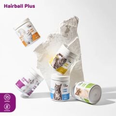Hairball Plus (Kedi)