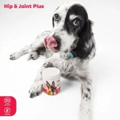 Hip & Joint Büyük (Köpek)