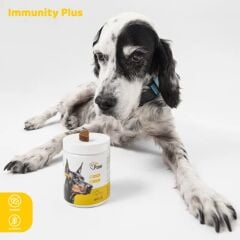 Immunity Plus Büyük (Köpek)