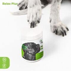 Relax Plus Büyük (Köpek)