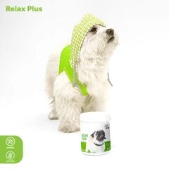 Relax Plus Küçük (Köpek)
